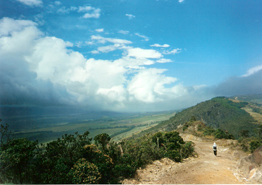 Siecha