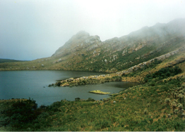 Siecha