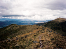 Siecha