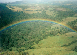 Siecha